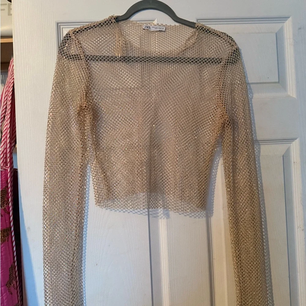 Zara Rhinestone Sheer Mesh Cropped Long Sleeve Top - Picture 1 of 2